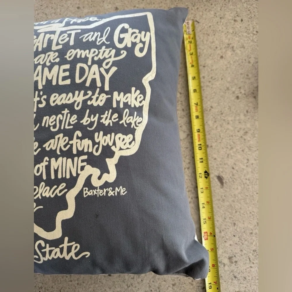 Ohio Buckeye State Decorative Pillow Baxter & Me Gray Game Day Ohio Home Decor